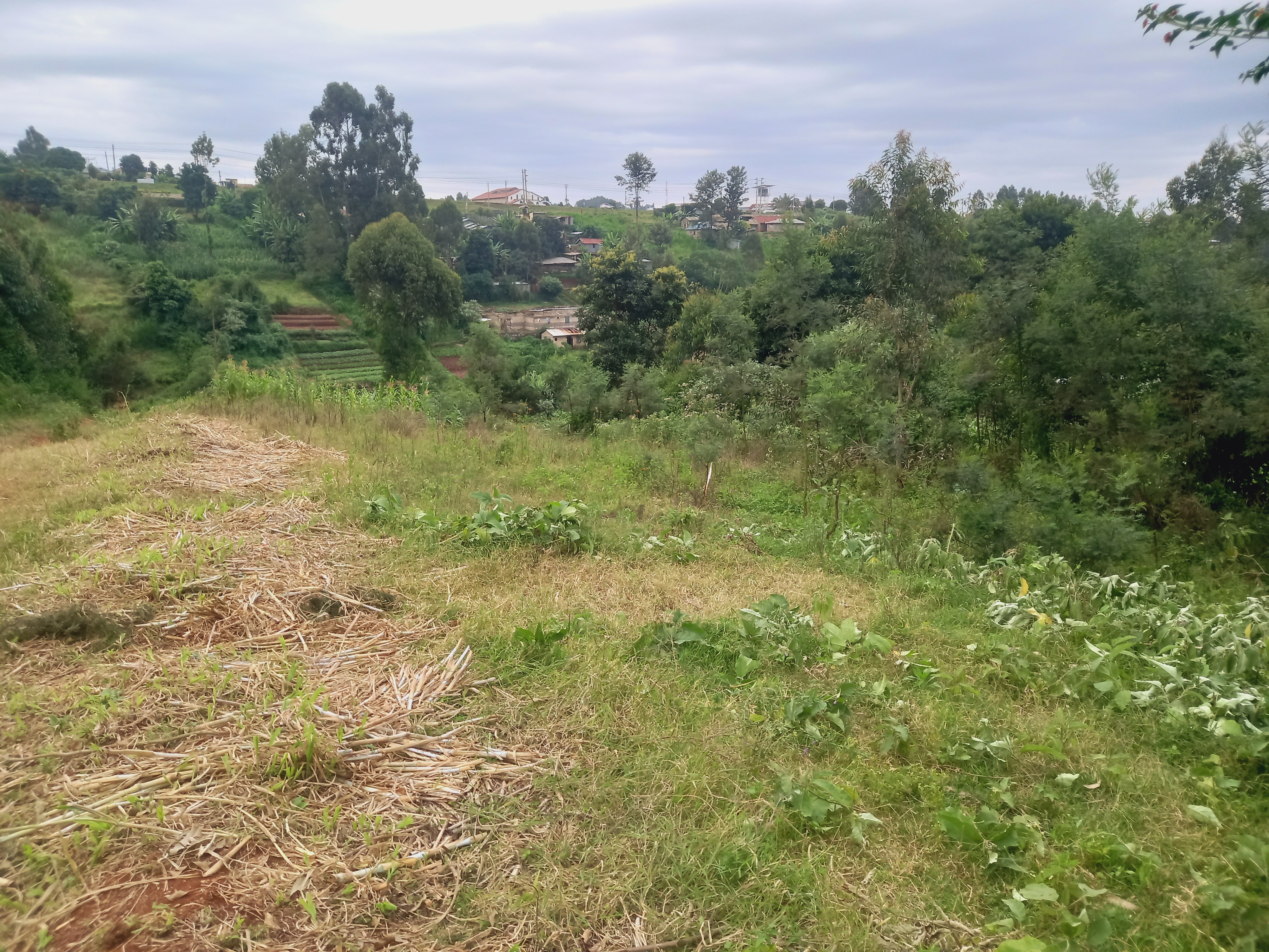 Fananga Place - Kianjogu 